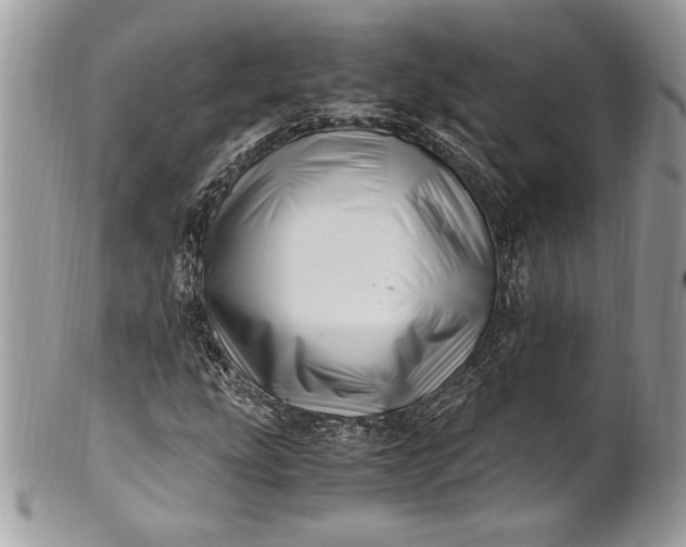 X0000100881207200807071118