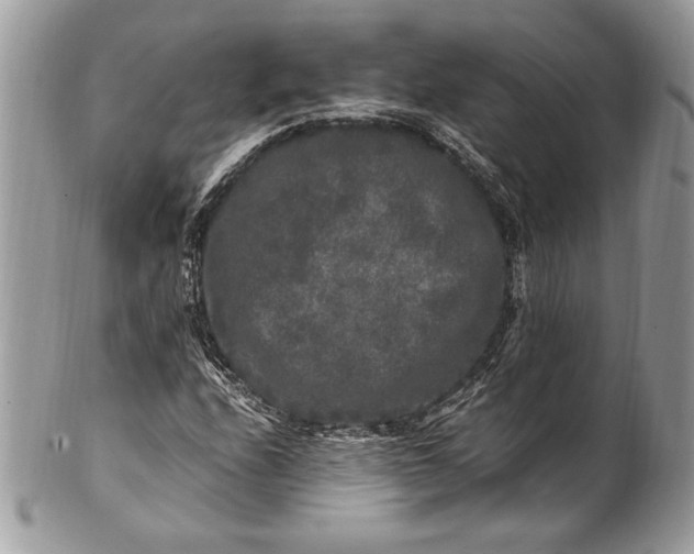 X0000100881208200807071118