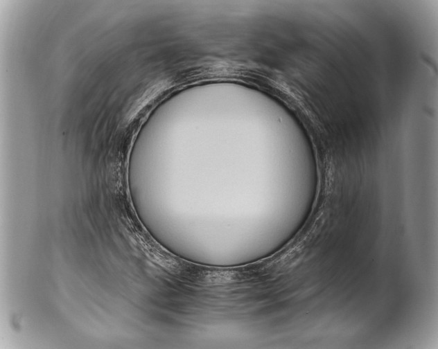 X0000100881211200807071118