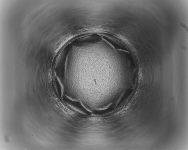 X0000100881212200807071118