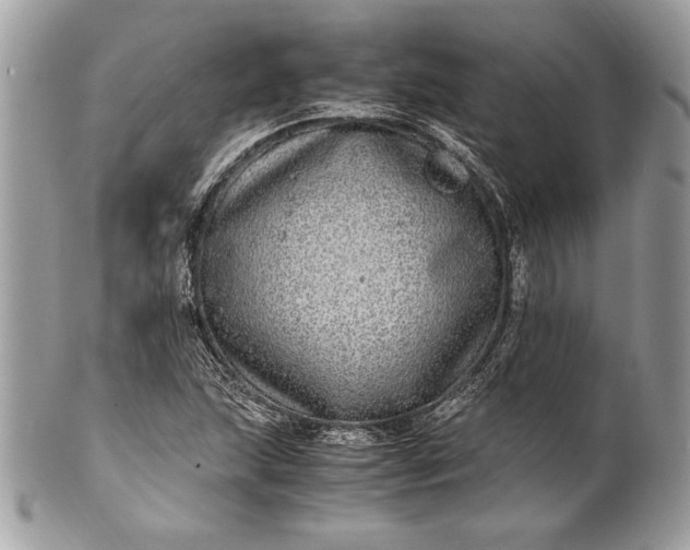 X0000100881215200807071118