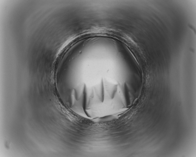 X0000100881216200807071118