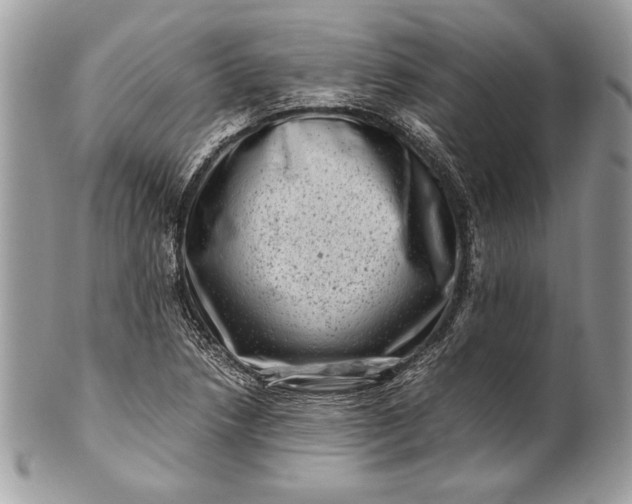 X0000100881218200807071118