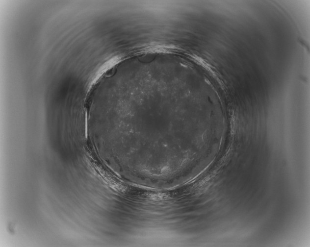 X0000100881219200807071118