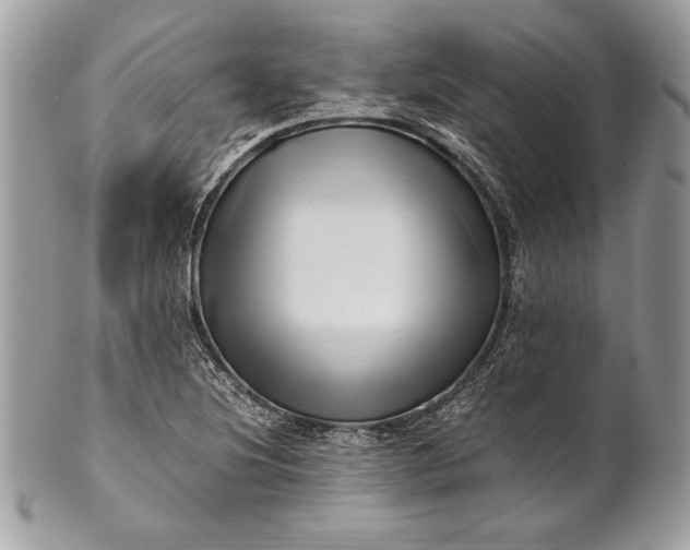 X0000100881220200807071118