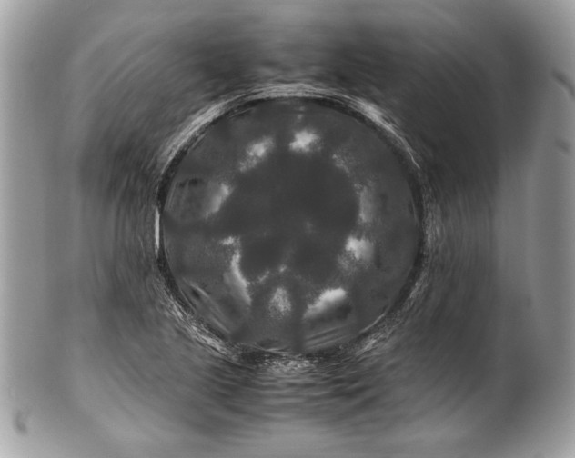 X0000100881221200807071118