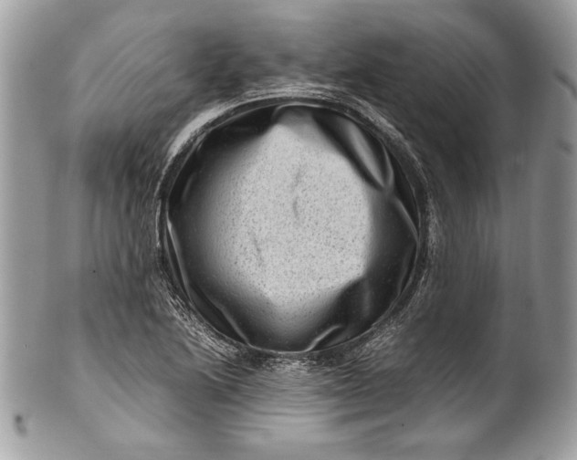 X0000100881222200807071118