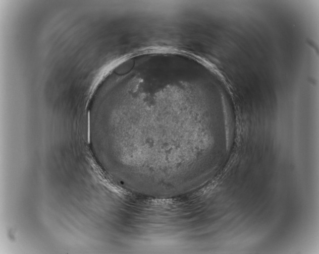 X0000100881223200807071118