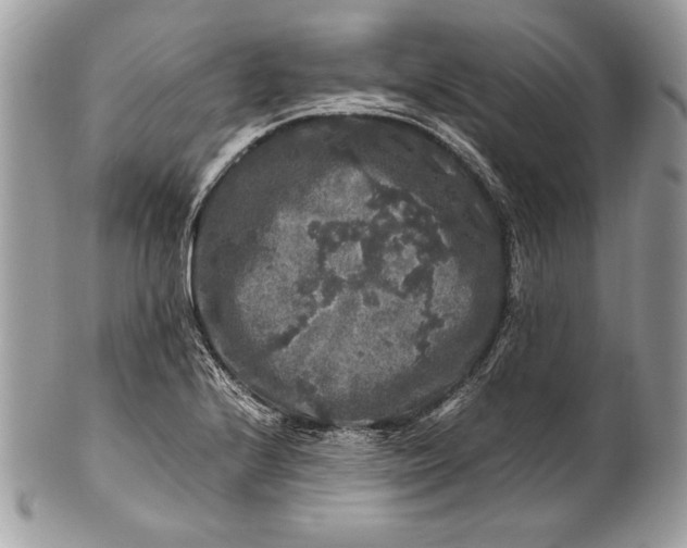 X0000100881224200807071118