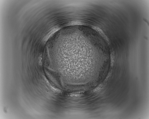 X0000100881225200807071118