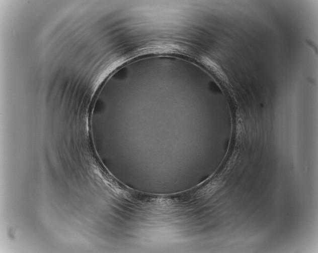 X0000100881226200807071118