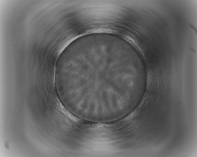 X0000100881228200807071118