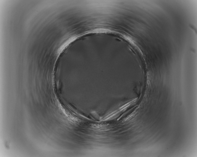 X0000100881229200807071118