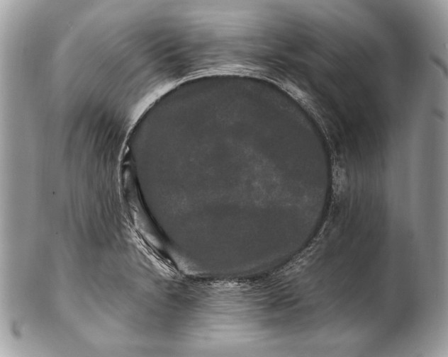 X0000100881230200807071118