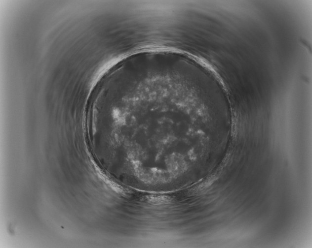 X0000100881231200807071118