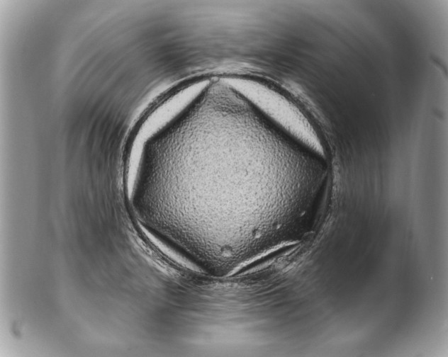 X0000100881232200807071118