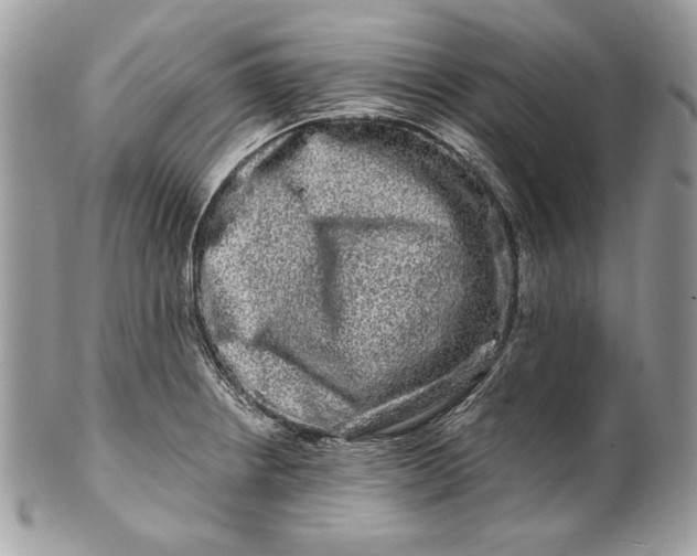 X0000100881234200807071118