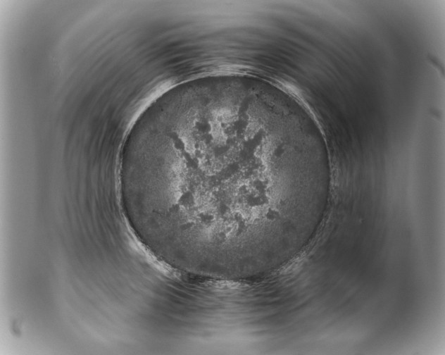 X0000100881235200807071118