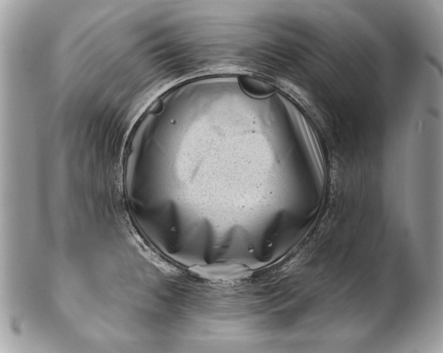 X0000100881236200807071118