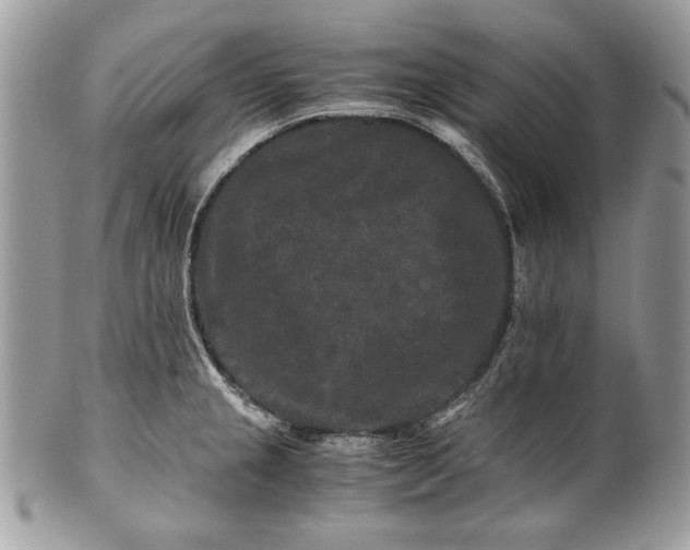 X0000100881237200807071118