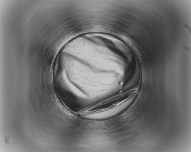 X0000100881238200807071118