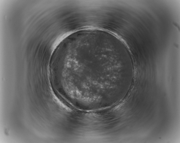 X0000100881239200807071118