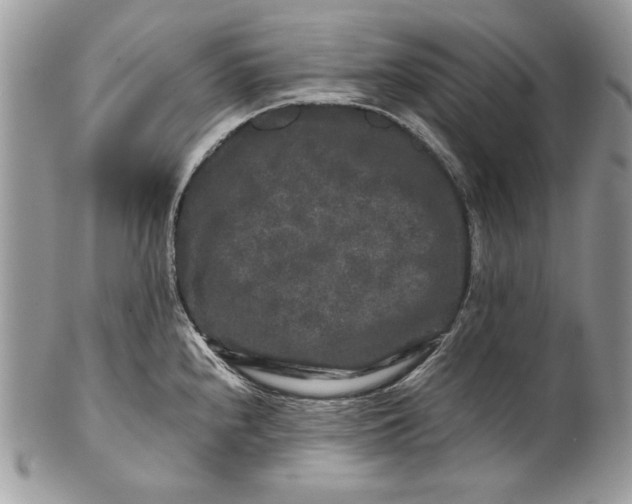 X0000100881240200807071118