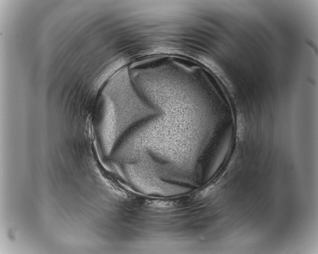 X0000100881241200807071118