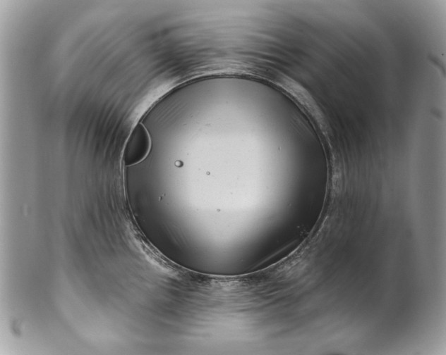 X0000100881242200807071118