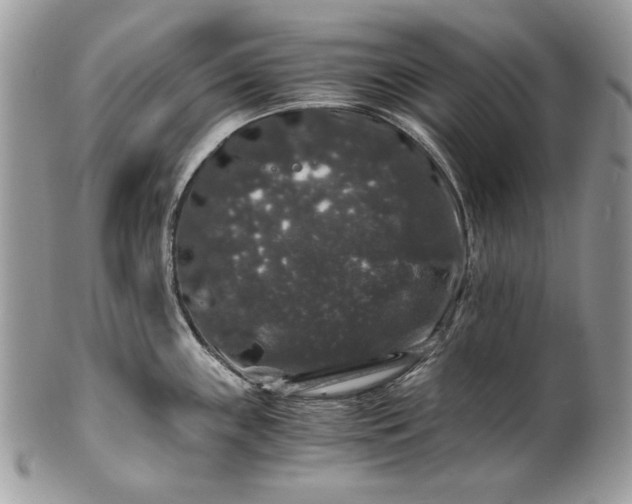 X0000100881243200807071118