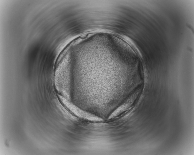 X0000100881244200807071118