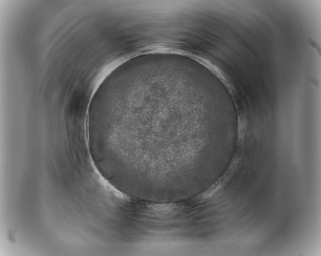 X0000100881247200807071118