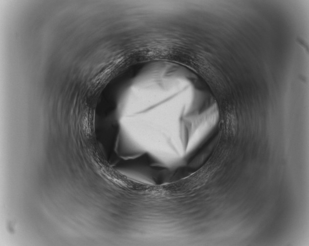 X0000100881250200807071118