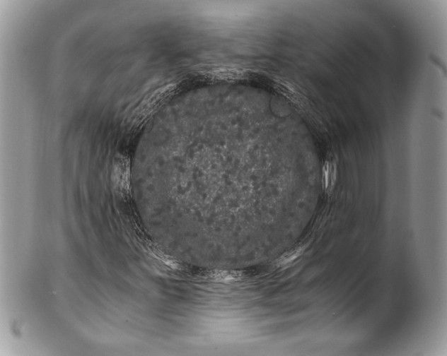 X0000100881251200807071118