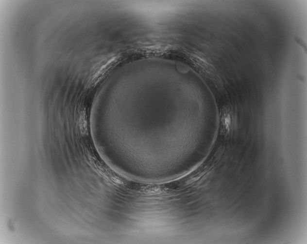 X0000100881252200807071118