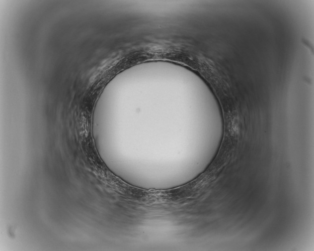 X0000100881253200807071118