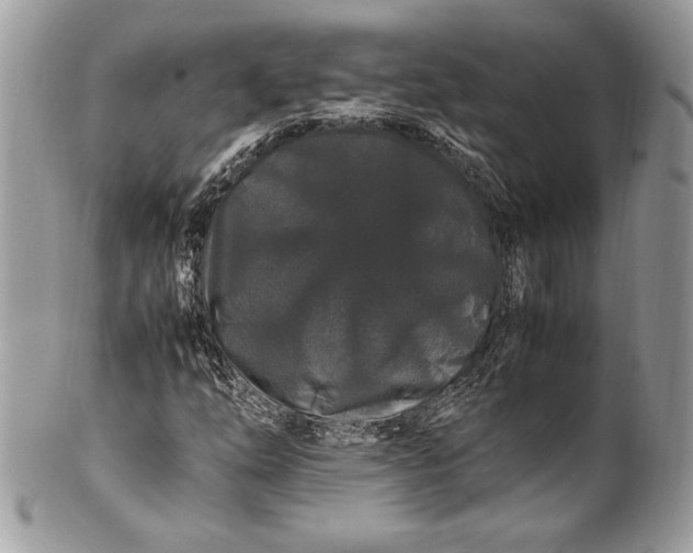 X0000100881254200807071118