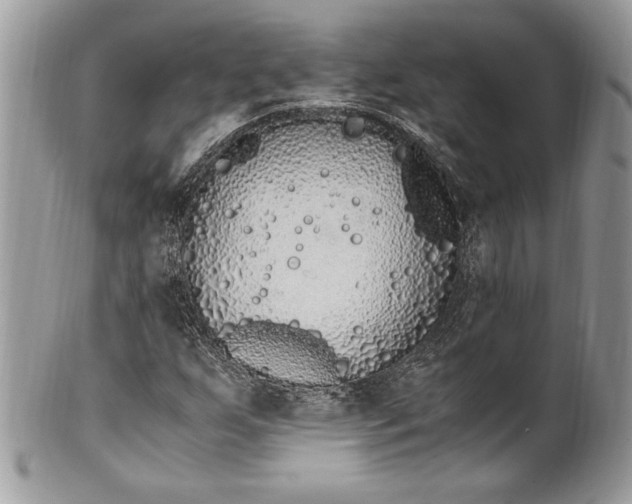 X0000100881255200807071117