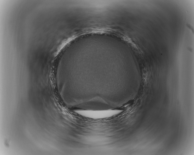 X0000100881256200807071117