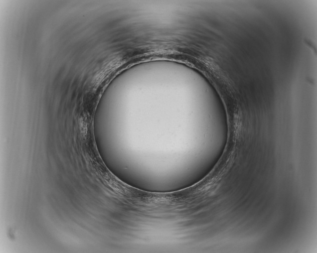 X0000100881257200807071117