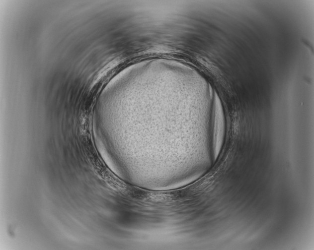 X0000100881258200807071117