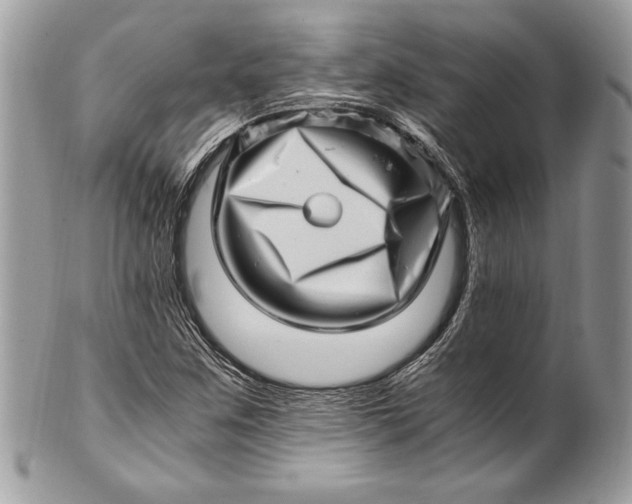 X0000100881259200807071117