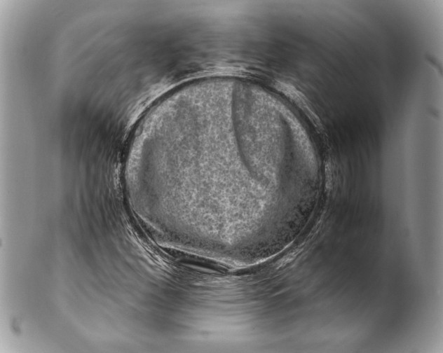 X0000100881260200807071117