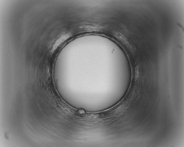 X0000100881261200807071117