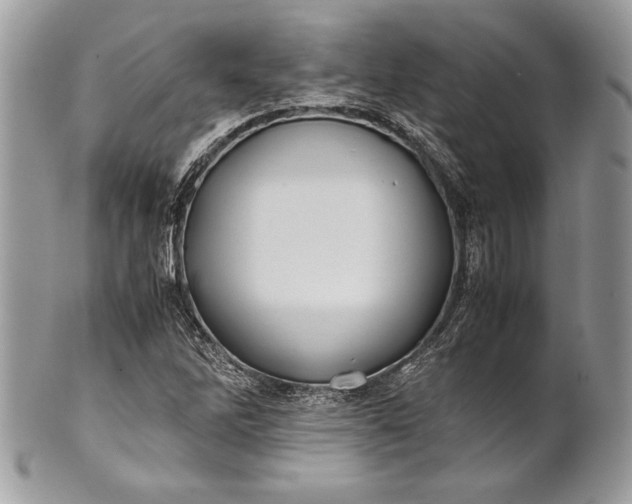 X0000100881262200807071117