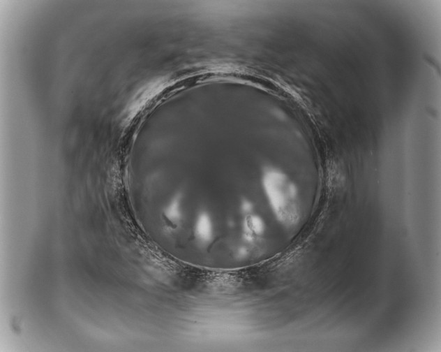 X0000100881263200807071117