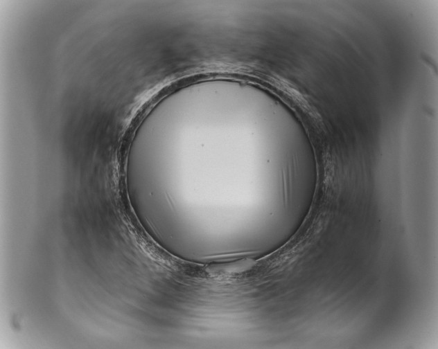 X0000100881264200807071117