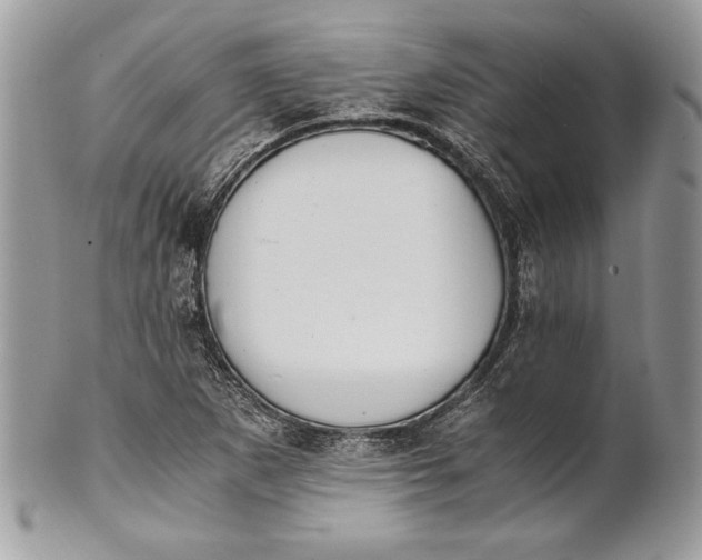 X0000100881265200807071117