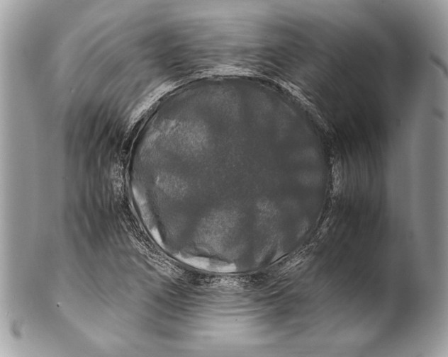 X0000100881266200807071117