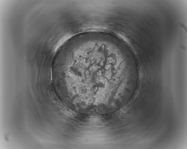 X0000100881267200807071117